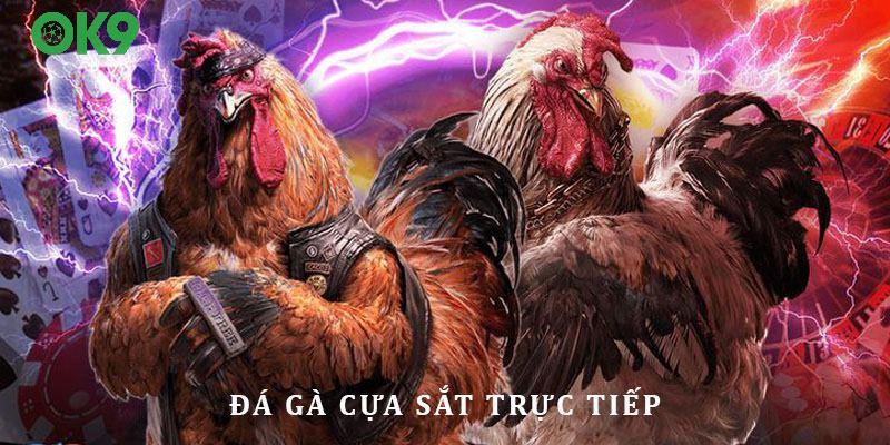 đá gà cựa sắt trực tiếp OK9